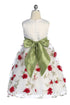 Girls Elegant Floral Embroidered Dress with Sash 2-12